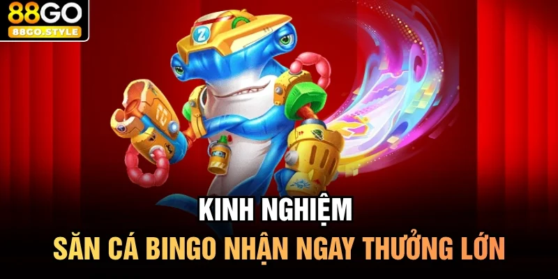 Kinh nghiệm săn cá Bingo nhận ngay thưởng lớn